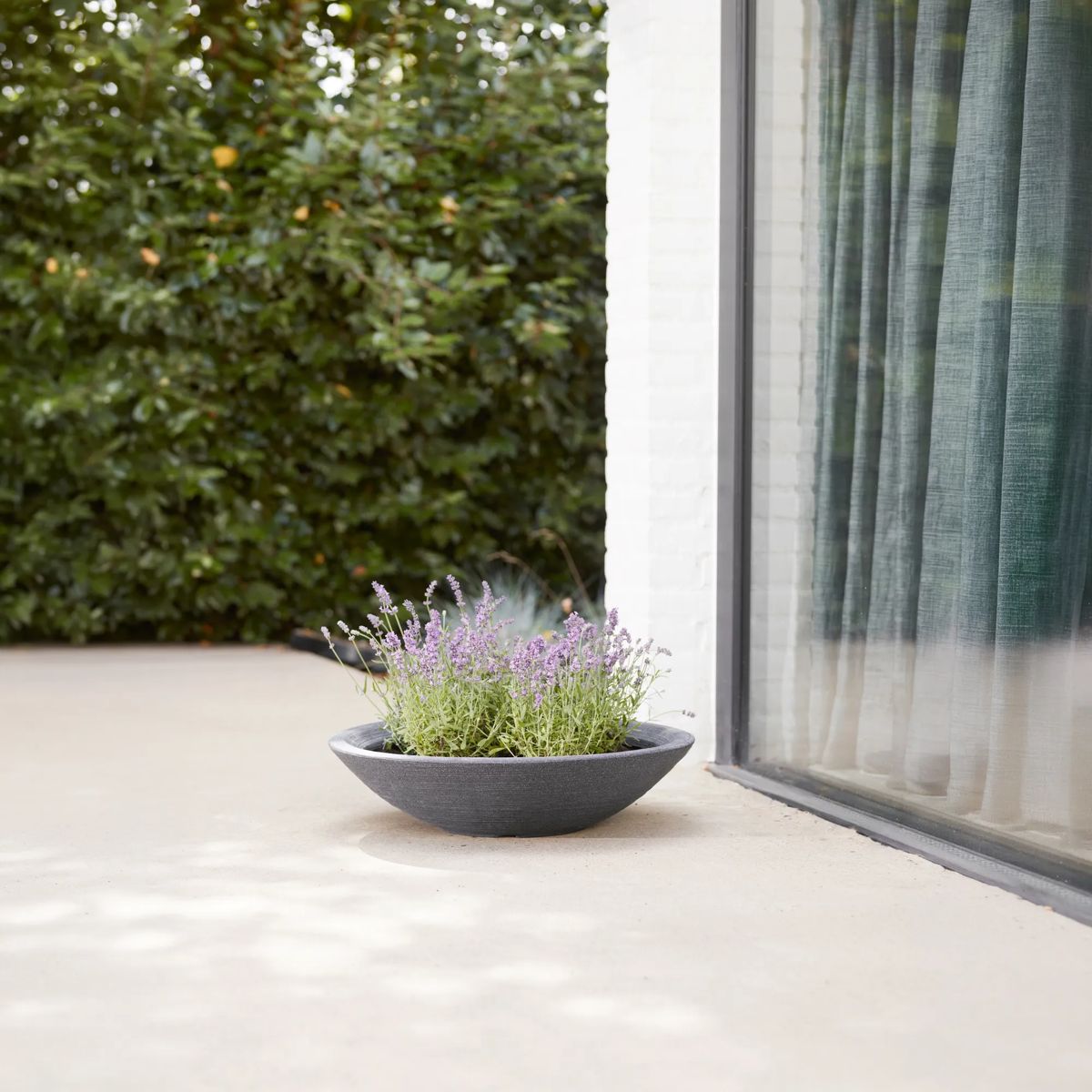 Varese Low Bowl Planter 60cm Set of 2 - Millstone Grey