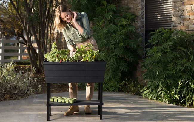 Buy Urban Bloomer Raised Garden Bed, 12.7 Gallon - Keter Canada
