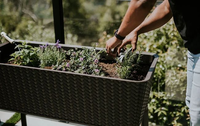 Planche de jardin surélevée Splendor brune 31,7 gallons – Keter Canada