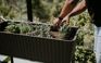 Planche de jardin surélevée Splendor brune 31,7 gallons – Keter Canada