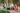Keter Classic Cool Bar 30L Beistelltisch - 