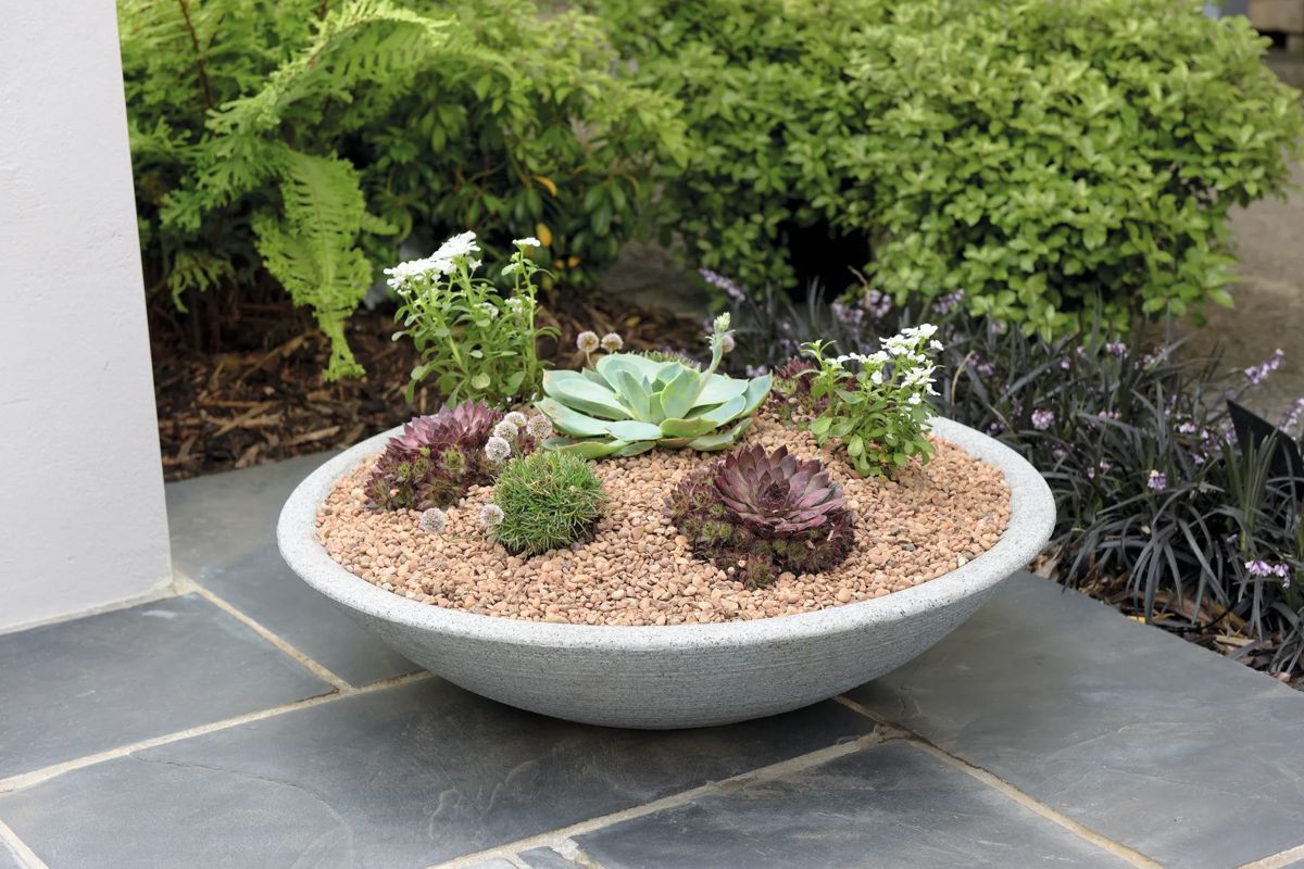 Varese Low Bowl Planter 60cm Set of 2 - Alpine Grey