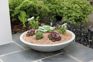 Varese Low Bowl Planter 60cm Set of 2 - Alpine Grey