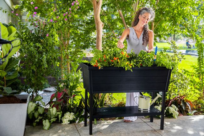 ערוגת גינה אלפרסקו - שחור