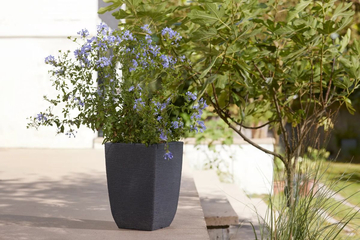 Cotswold Tall Square Planter 33cm Set of 2 - Millstone Grey
