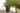 Cotswold Tall Square Planter 33cm Set of 2 - Millstone Grey