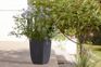 Cotswold Tall Square Planter 33cm Set of 2 - Millstone Grey