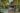 Signature Bar-B-Q Gazebo - PINE