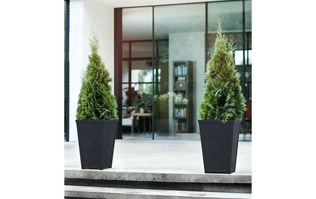 עציץ טזורו 37 ס