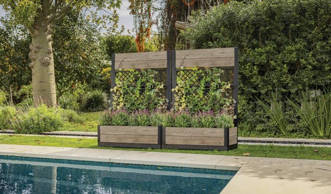 Tulip Screen Planter - Ashwood Brown