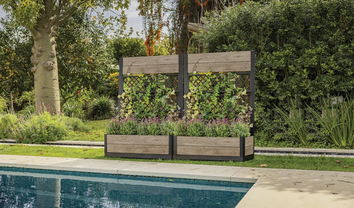 Tulip Screen Planter - Ashwood Brown