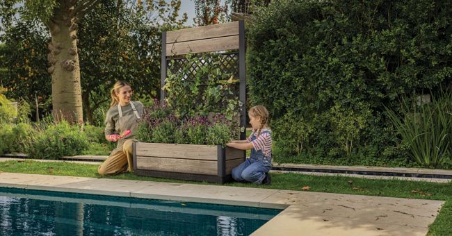 Tulip Screen Planter - Ashwood Brown