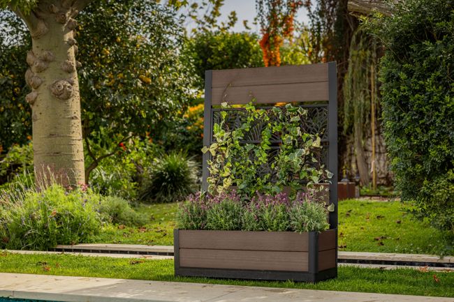 Tulip Leaf Screen Planter - Brown