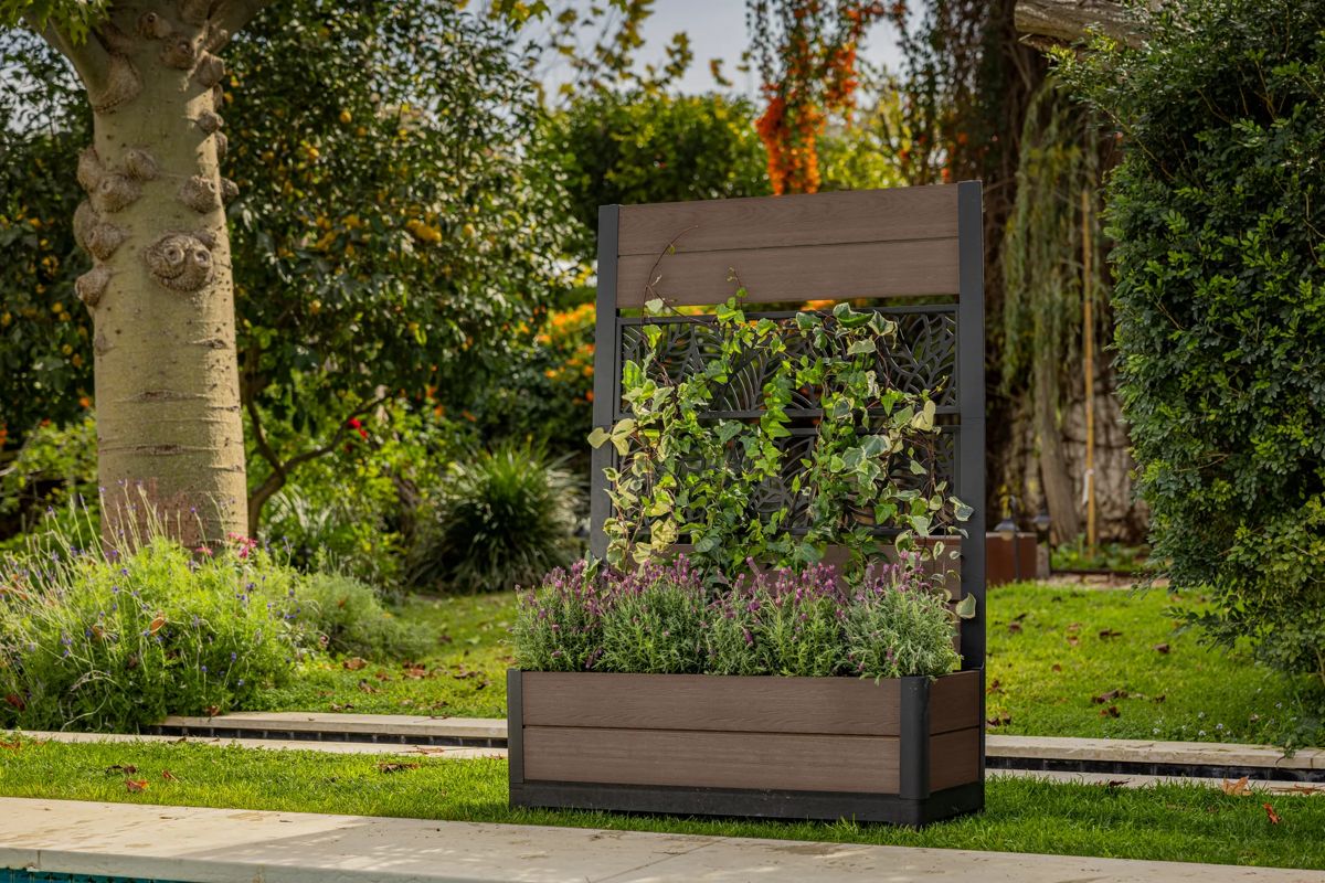 Tulip Leaf Screen Planter - Brown