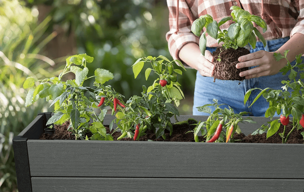 Graphite Darwin 29 Gallon Elevated Garden Bed - Keter US