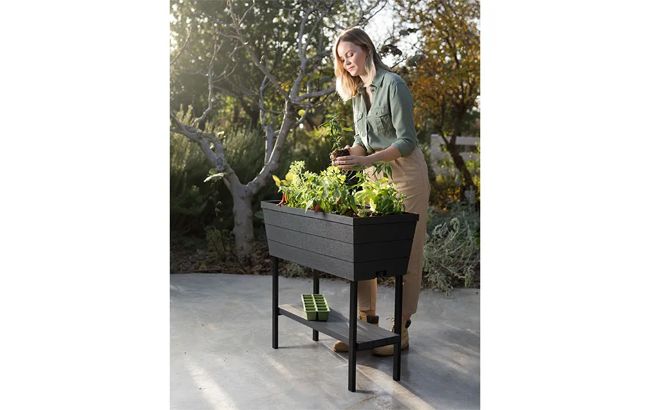 Graphite Urban Bloomer 12.7 Gallon Elevated Garden Bed - Keter US