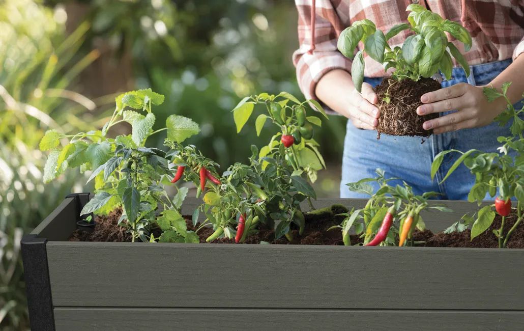 Darwin Elevated Garden Bed - Green