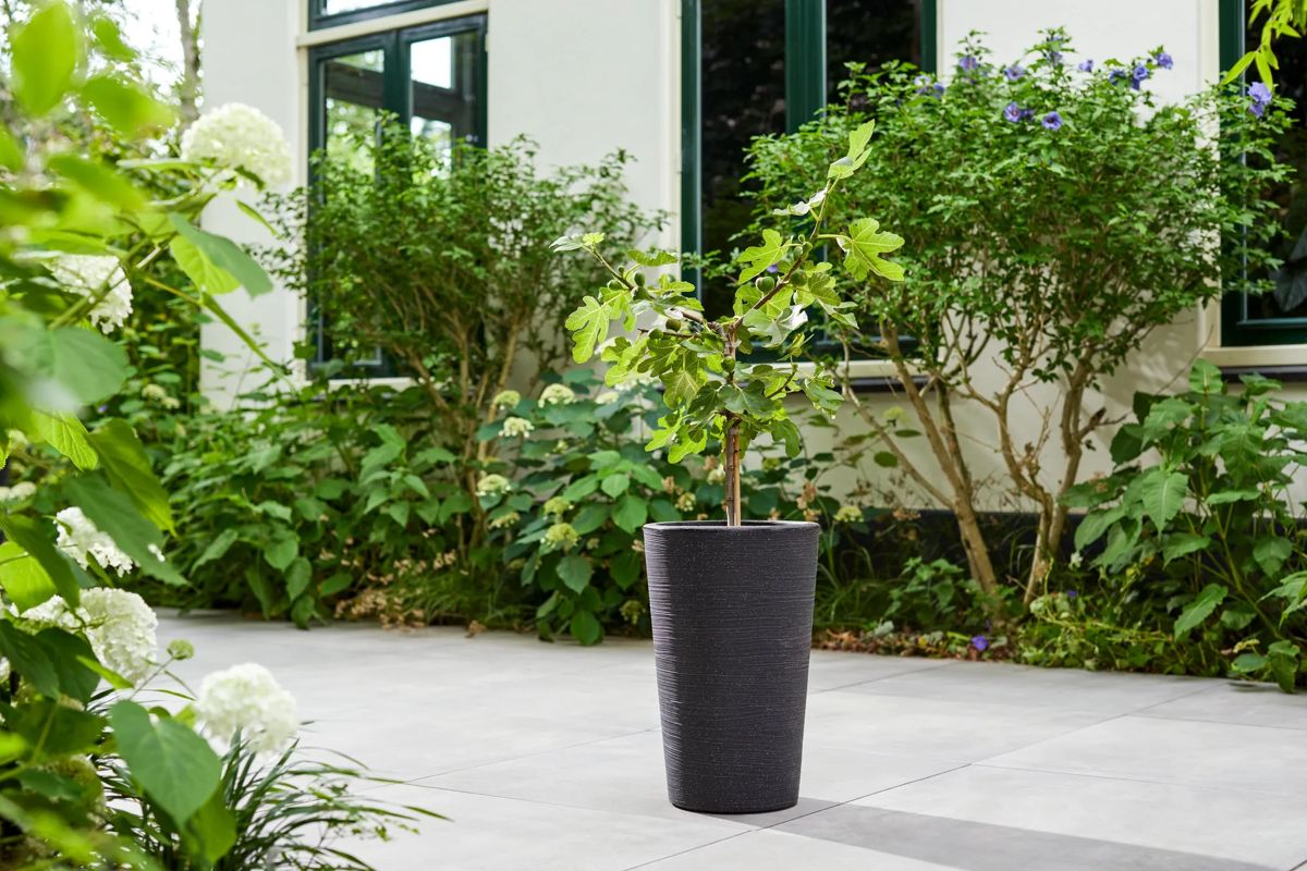 Varese Medium Planter 35cm Set of 2 - Granite