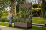 Tulip Leaf Screen Planter - Brown