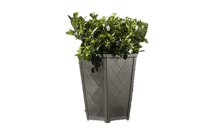 עציץ טזורו 37 ס