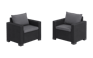 Fauteuil California - Set de 2 - Anthracite