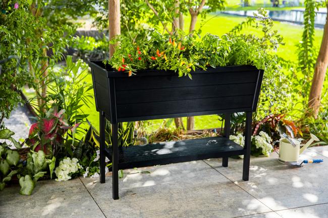 ערוגת גינה אלפרסקו - שחור thumbnail