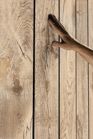 Signature 1175 Tuinhuis - 350x230x246cm - Pine - 