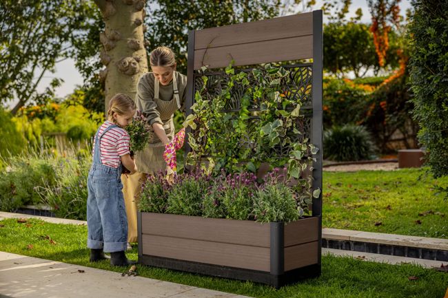 Tulip Leaf Screen Planter - Brown