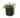 Sites-keter-ES-Site