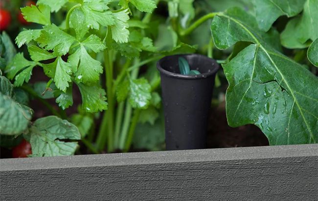 Planche de jardin surélevée Darwin en graphite 29 gallons – Keter Canada