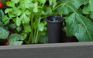 Planche de jardin surélevée Darwin en graphite 29 gallons – Keter Canada