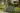 Green Privacy Planter With Tulip-Shaped Trellis - Keter US