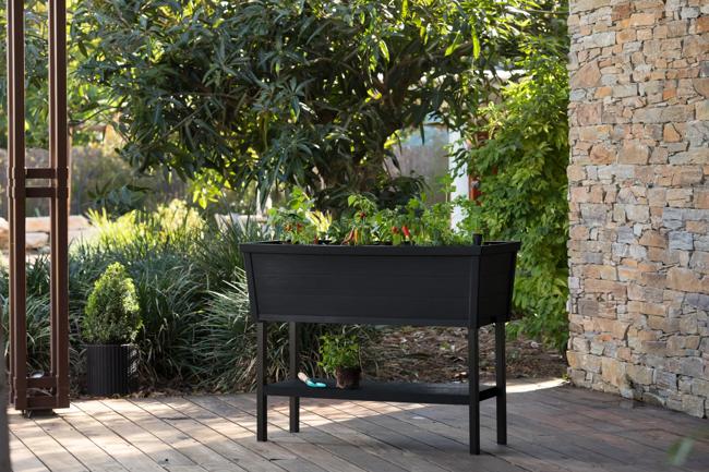 ערוגת גינה אלפרסקו - שחור thumbnail