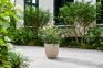 Cotswold Square Planter 38cm Set of 2 - Limestone Grey
