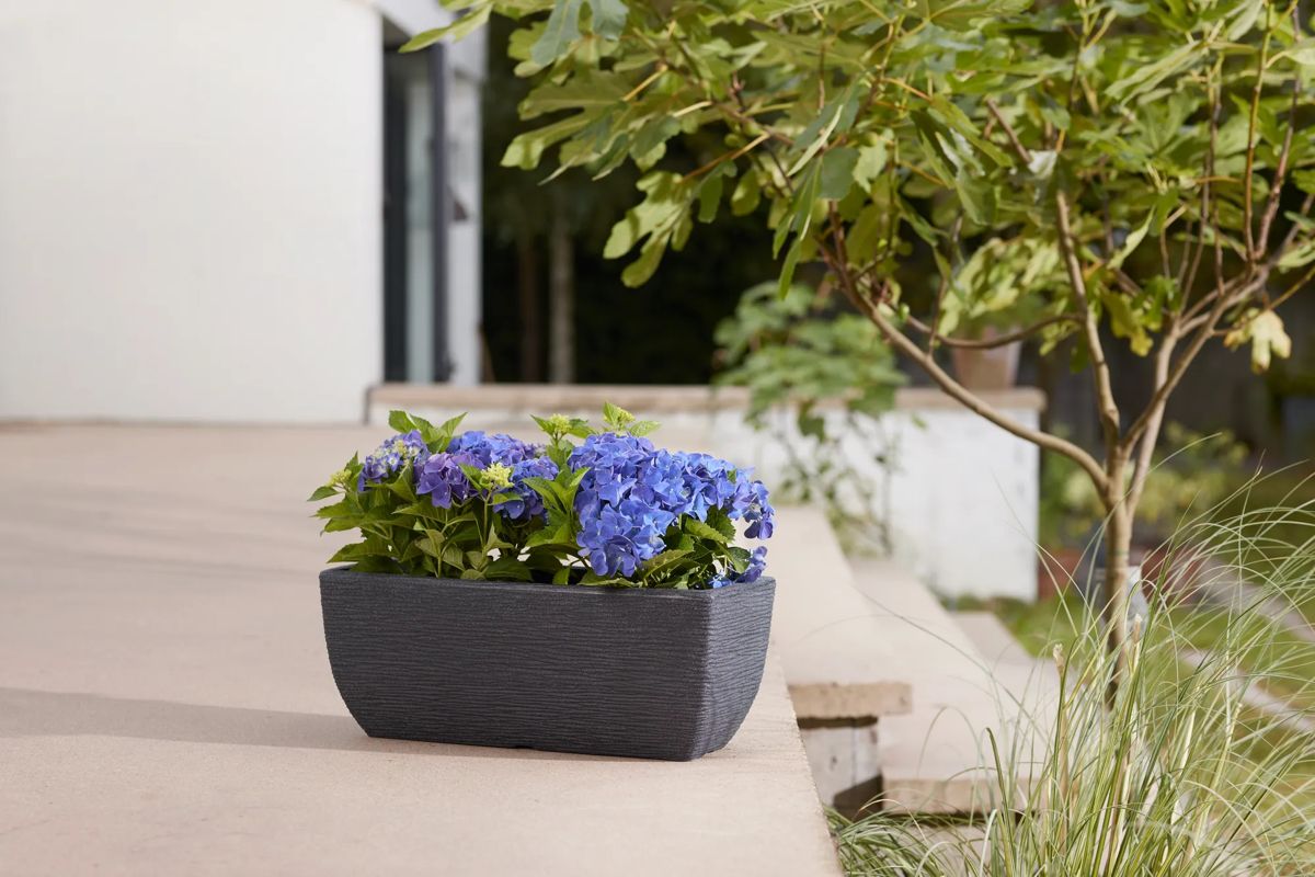 Cotswold Trough Planter 60cm Set of 2 - Millstone Grey