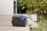 Cotswold Trough Planter 60cm Set of 2 - Millstone Grey
