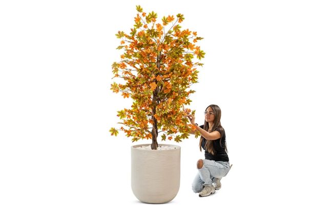 עציץ ערבה גדול   - חול