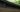 Signature Gartenhaus 9x7 - 279x218x226 cm - Walnuss