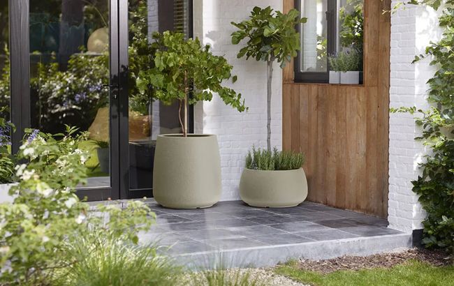 עציץ ארבל עגול 55 ס