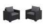 Fauteuil California - Set de 2 - Anthracite