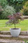 Honey Pot Low Planter 49cm Set of 2 - Alpine Grey