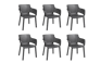 6 כיסאות אליסה - אפור כהה