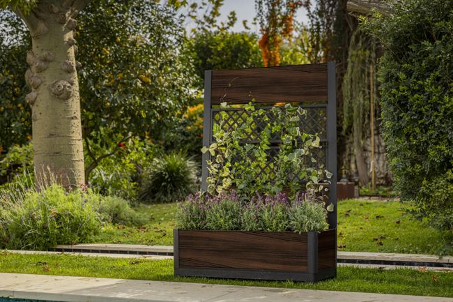 Rosewood Brown Privacy Planter With Trellis - Keter US