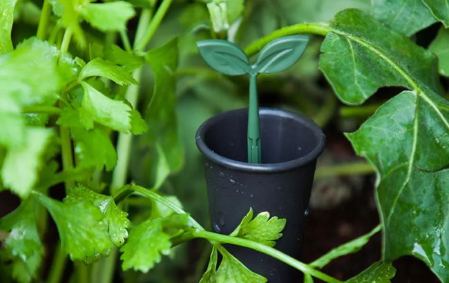 ערוגת גינה איזי גרו - אפור כהה