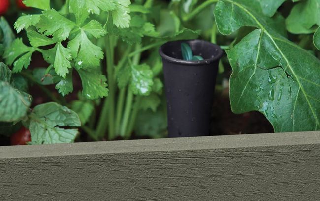 Darwin Elevated Garden Bed - Green