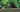Darwin Elevated Garden Bed - Green
