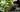 Buy Urban Bloomer Raised Garden Bed, 12.7 Gallon - Keter Canada