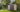 Abri de jardin Signature 117 - 7,4m2 - Marron aspect Douglas