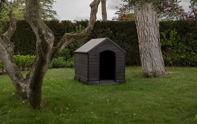 Caseta de perro exterior para jardín - 95x99x99 cm - Marrón