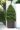 Wood Planter Small - 